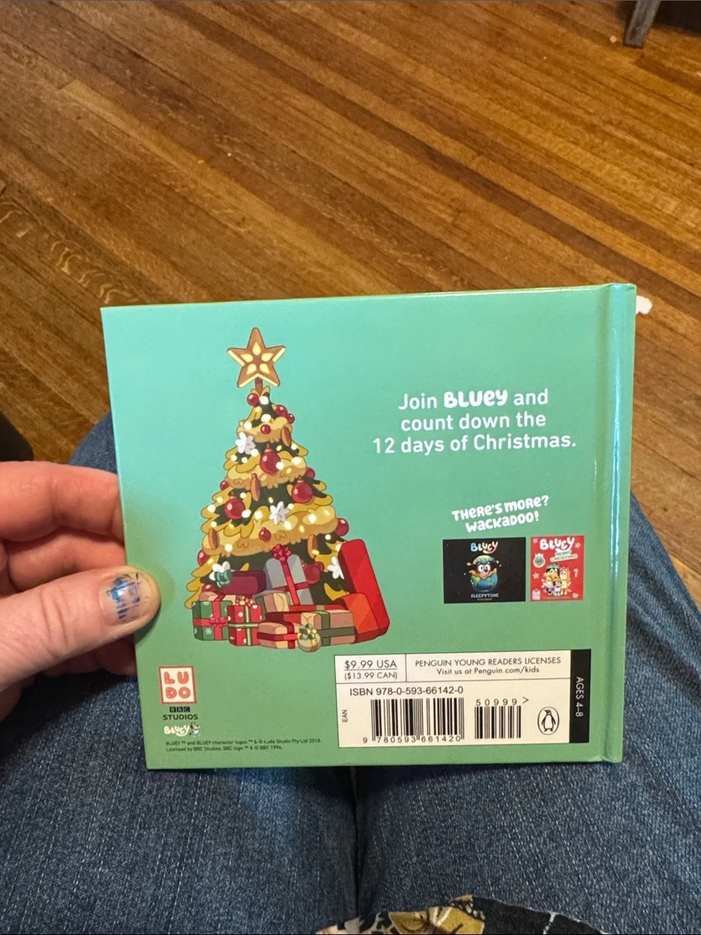 Bluey 12 Days of Christmas Board Book - Green